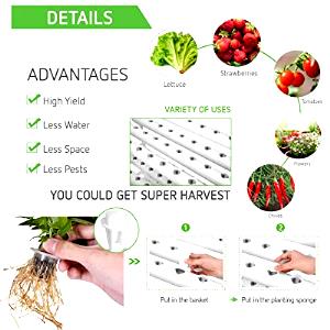 1 1/4 cups (108 g) Italian Herb Harvest Vegetables