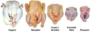 1/2 Chicken, Bone Removed Chicken Light Meat and Skin (Broilers or Fryers)