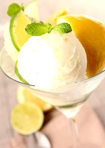 1/2 cup (104 g) Limoncello Gelato