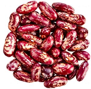 1/2 cup (130 g) Dominican Red Beans