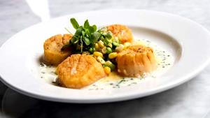 1/2 cup (3 oz) Patagonian Scallops