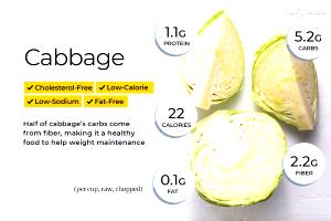 1/2 Cup Cabbage Raw