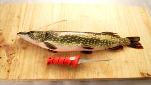 1/2 Fillet Northern Pike (Fish)