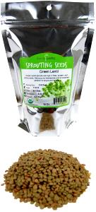 1/4 cup dry (40 g) Sprouted Green Lentils