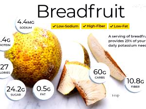 1/4 Fruit Breadfruit, Raw