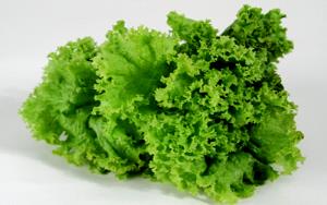 1/6 medium head (89 g) Iceberg Lettuce