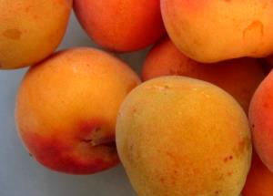 1 Apricot Half Apricot Drained Solids (Cooked or Canned)