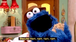 1 biscuit Monster Biscuit