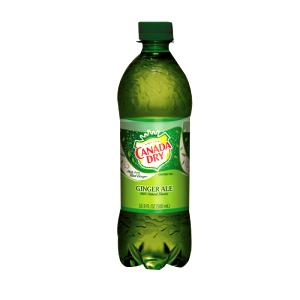 1 bottle (16.9 oz) Ginger Ale (16.9 oz)