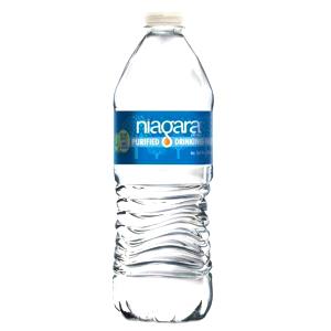 1 bottle (16.9 oz) Purified Drinking Water (Bottle)