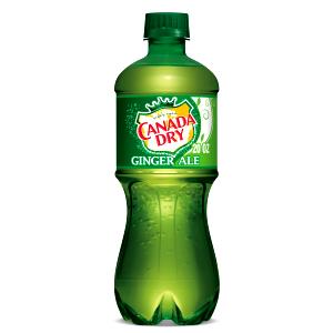 1 bottle (20 oz) Ginger Ale (Bottle)