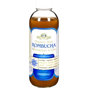 1 bottle (480 ml) Organic Raw Kombucha (Bottle)