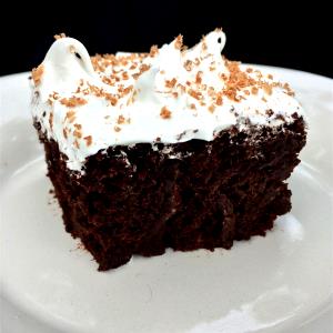 1 Bundt Or Tube Cake Chocolate Cake with Mayonnaise or Salad Dressing