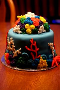 1 cake (54 g) Coral Reef Cake