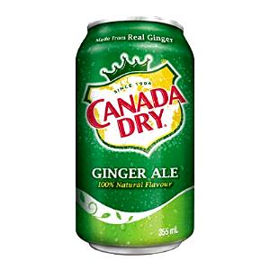 1 can (355 ml) Ginger Ale (12 oz)