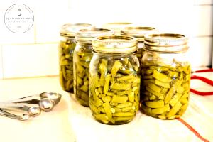 1 Can (439.0 G) Snap Beans, canned