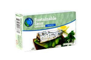 1 can (85 g) Sardines in Water