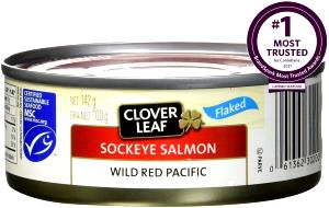 1 Can Sockeye Salmon (Drained Solids with Bone, Canned)