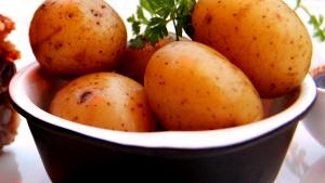 1 Canned Potato (approx 1" Dia) Boiled Potato (without Peel)