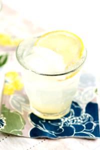 1 Cocktail Gin Fizz