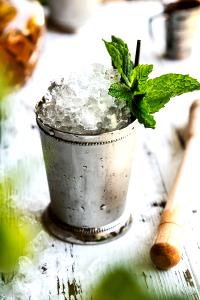 1 Cocktail Mint Julep