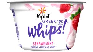 1 container (113 g) Lowfat Whipped Strawberry Yogurt Mousse