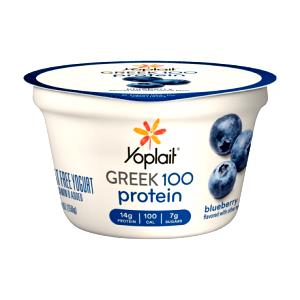 1 container (150 g) Fat Free Greek Yogurt Blueberry