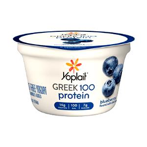 1 container (150 g) Greek Low Fat Yogurt