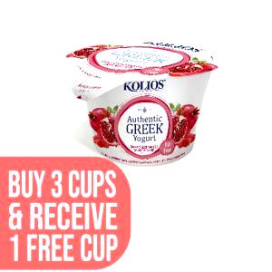 1 container (150 g) Greek Yogurt Blueberry Pomegranate