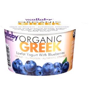 1 container (150 g) Organic Greek Lowfat Yogurt with Blueberries