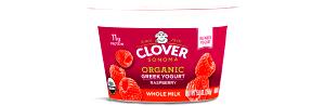 1 container (150 g) Organic Greek Whole Milk Yogurt Blended Raspberry