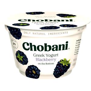 1 container (170 g) Fat Free Light Blackberry Yogurt