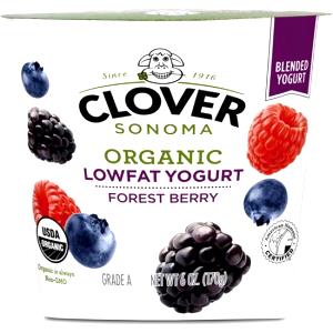 1 container (170 g) Lowfat Forest Berry Yogurt