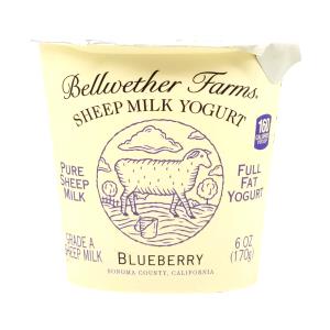 1 container (170 g) Sheep Milk Yogurt - Blueberry