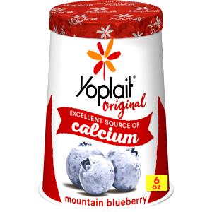 1 container (6 oz) Blueberry Lowfat Yogurt