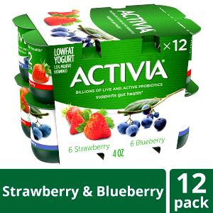 1 container Probiotic Yogurt - Blueberry