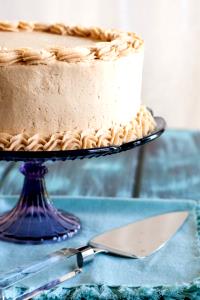 1 Cubic Inch Peanut Butter Cake with Icing