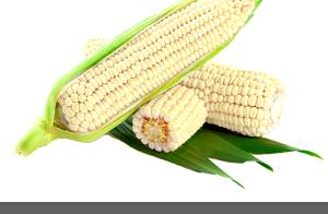 1 Cup (166.0 G) White Corn, raw