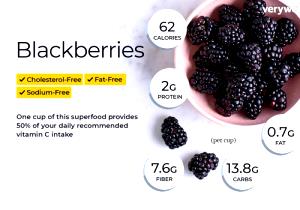 1 cup (170 g) Nonfat Blackberry & Creme Yogurt