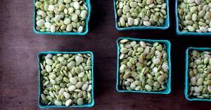 1 Cup (178.0 G) Lima Beans, raw