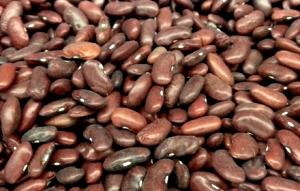 1 Cup (210.0 G) Pink Beans, raw