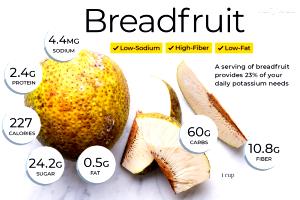 1 Cup (220.0 G) Breadfruit