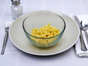 1 cup (230 g) Macaroni & Cheese