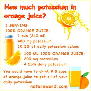 1 cup (240 ml) Orange Juice from Concentrate