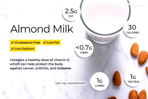 1 cup (240 ml) Protein Nut Milk Almond & Cashew