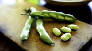 1 cup (250 g) Fava Beans