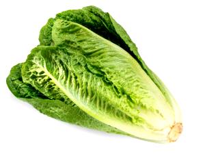 1 cup (47 g) Romaine Lettuce