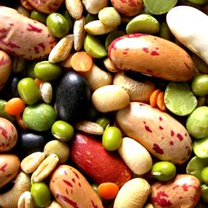 1 Cup Adzuki Beans (Mature Seeds, Sweetened, Canned)