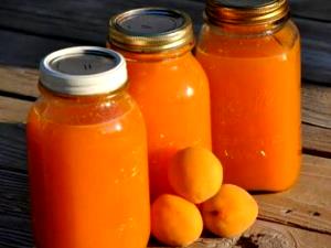 1 Cup Apricot Nectar (with Added Ascorbic Acid, Canned)