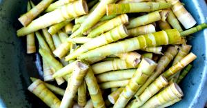 1 Cup Bamboo Shoots, Raw